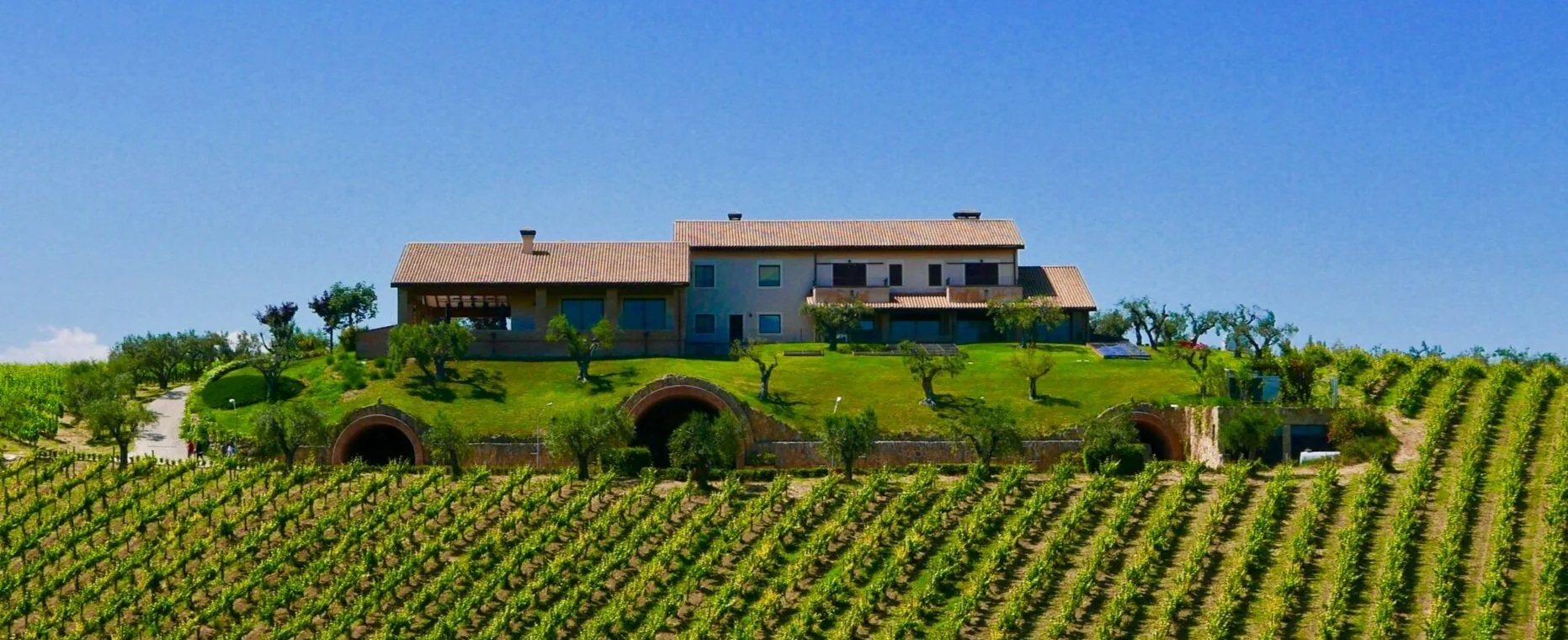 Feuduccio Cantina